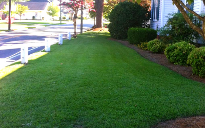 click here to learn more about our turf maintenance services